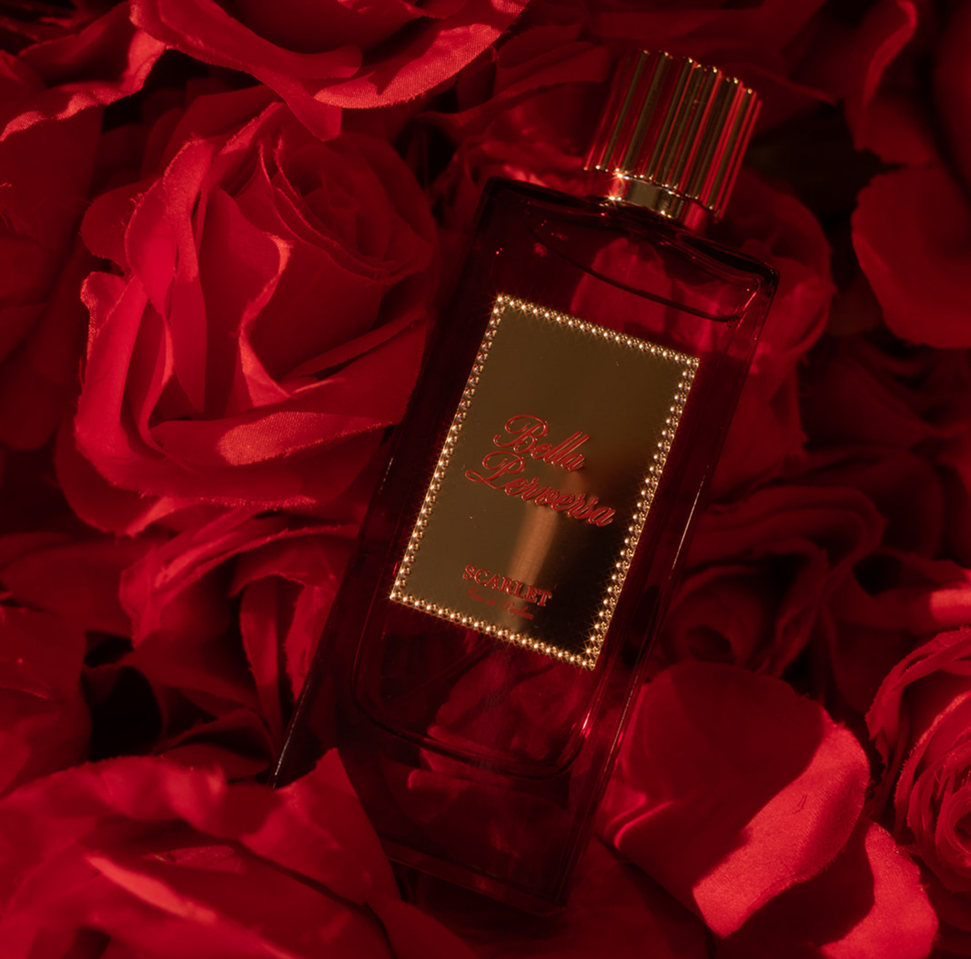 Scarlet Eau de Parfum by Bella Perversa, created by influencer Daisy Marquez, 2.5 fl oz, nestled in a bed of roses.